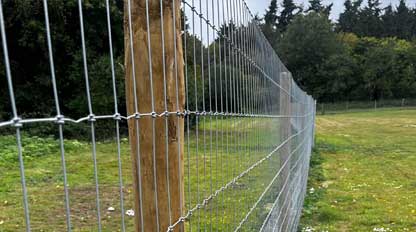 fencing-and-amenity